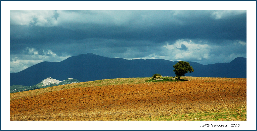 tree crop