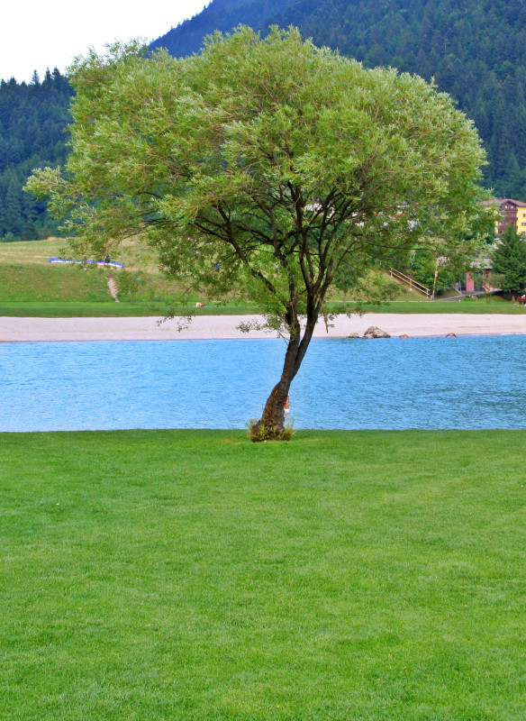 Molveno