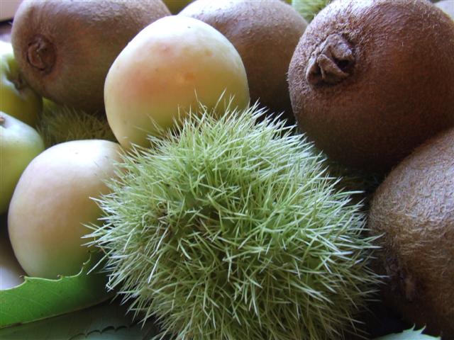 frut3