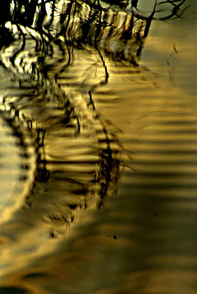 increspature,2