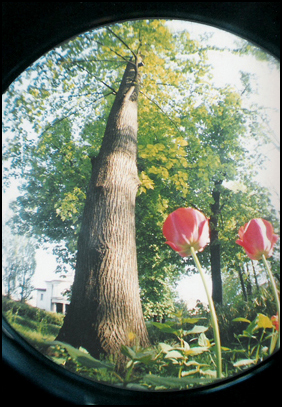 Fisheye
