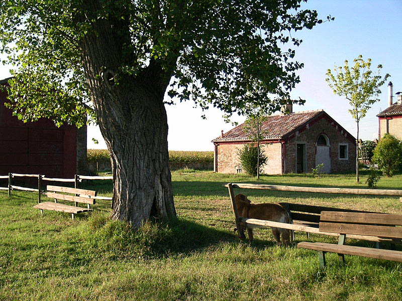 Porotto, fuori dal maneggio