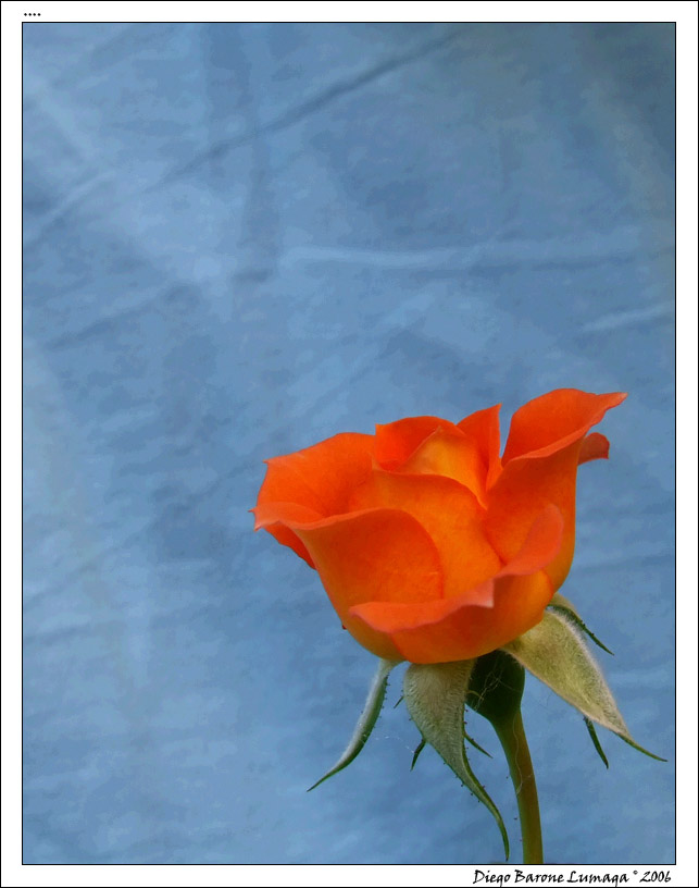 Per te.....