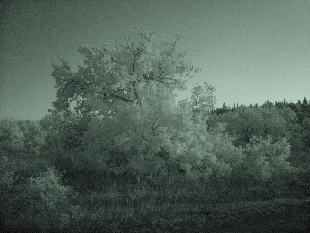 La mia terra all'infrarosso
