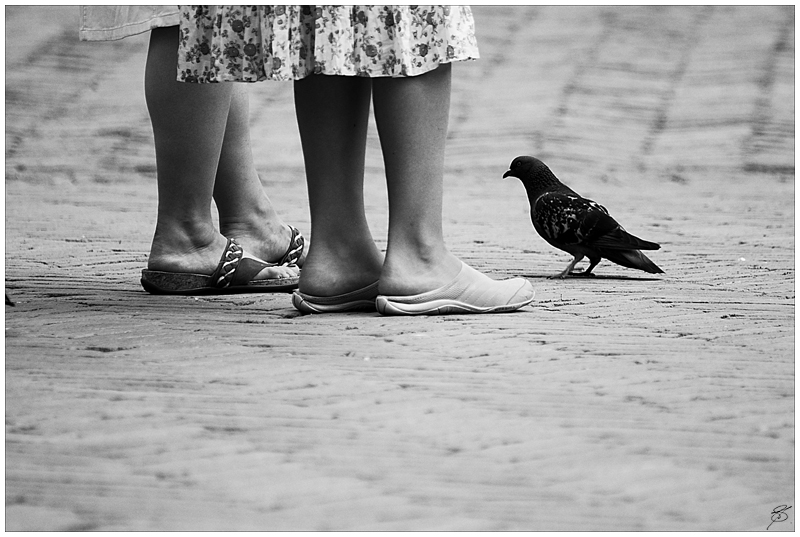 A pair of shoes 03