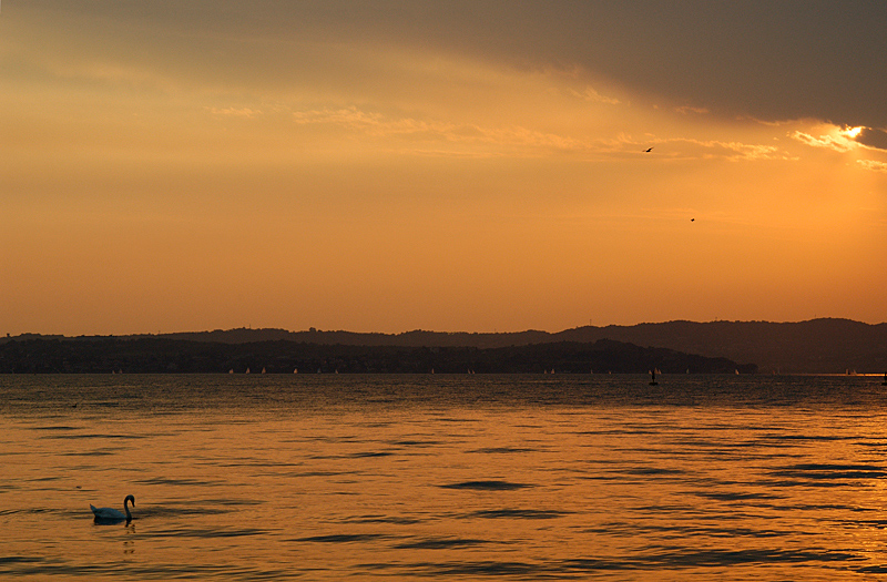 Photo4u a Sirmione: il tramonto