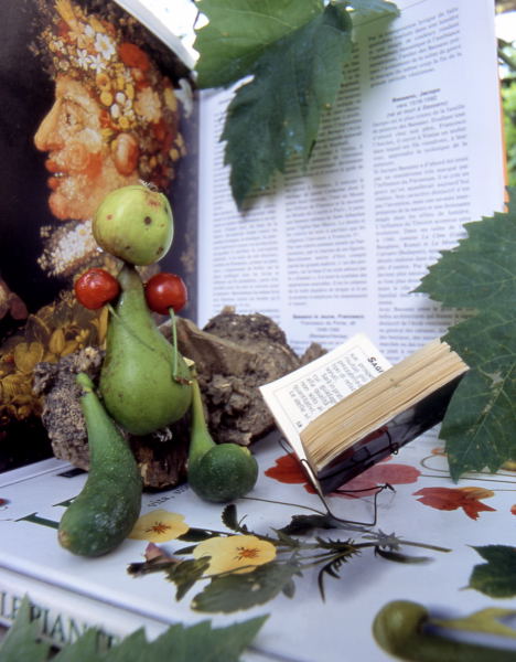 arte fruttifera