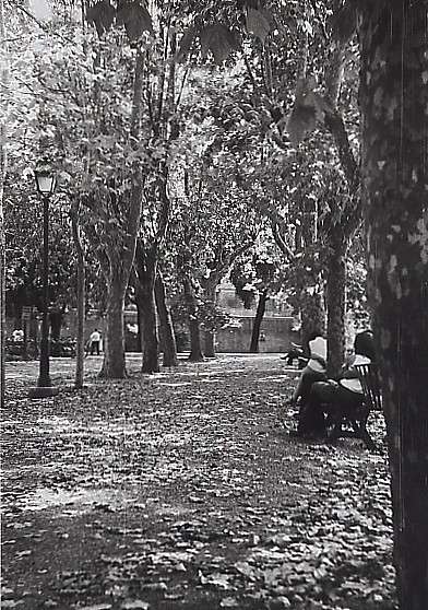 innamorati al parco