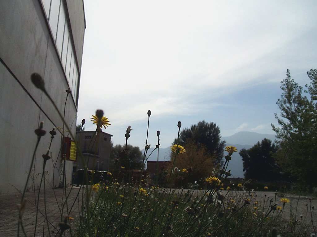 FUJI Finepix A500