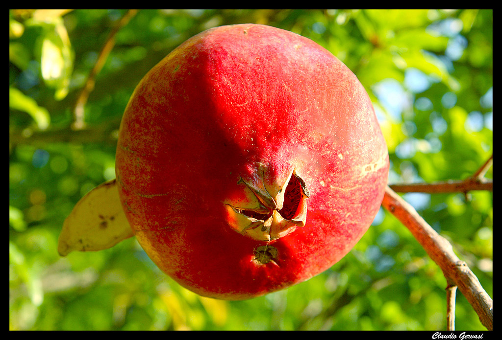 Natura