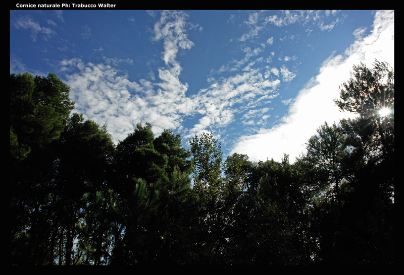 cornice naturale