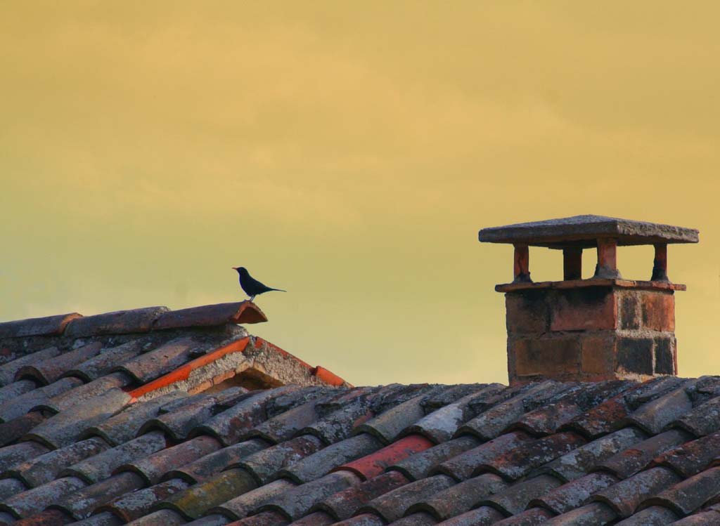 La solitudine