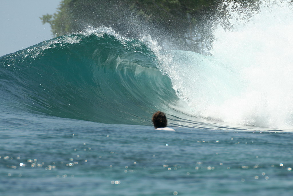 Perfectwave..