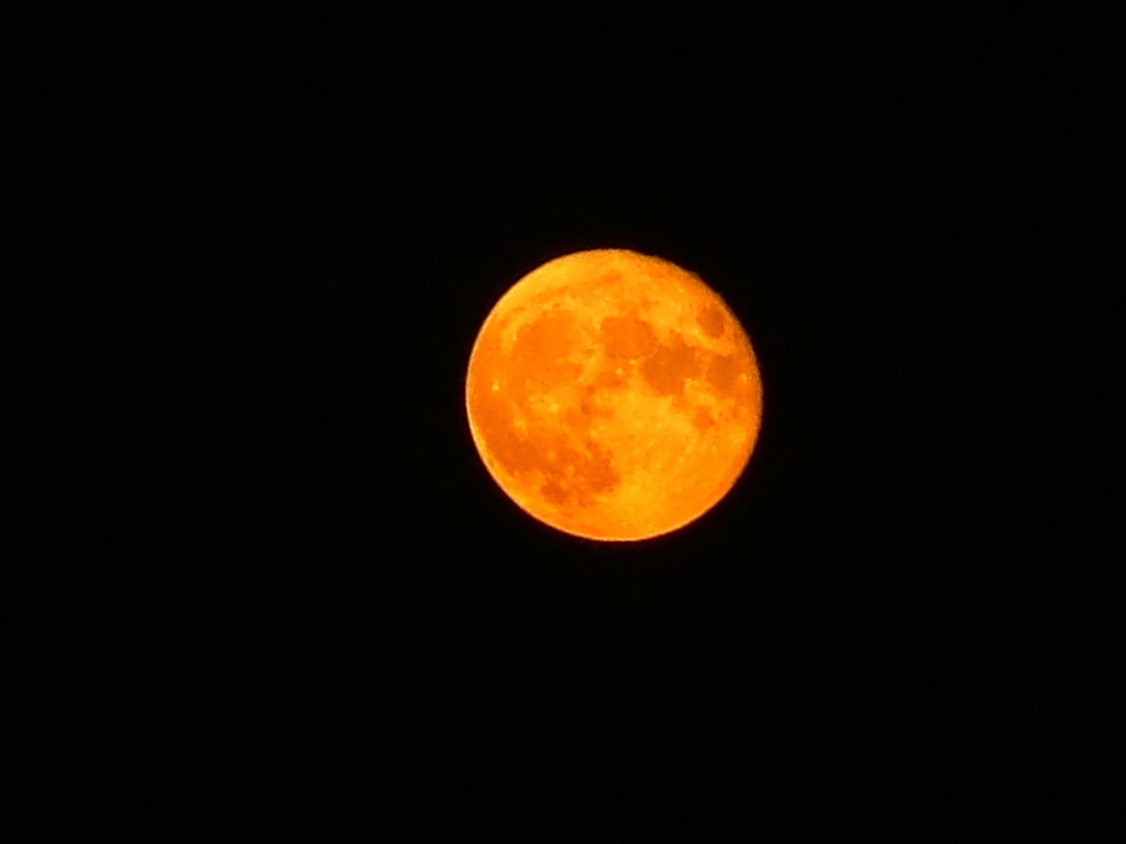 Luna d'agosto - crop