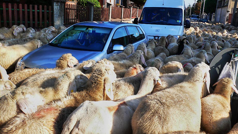 Autolavaggio ecologico e collettivo