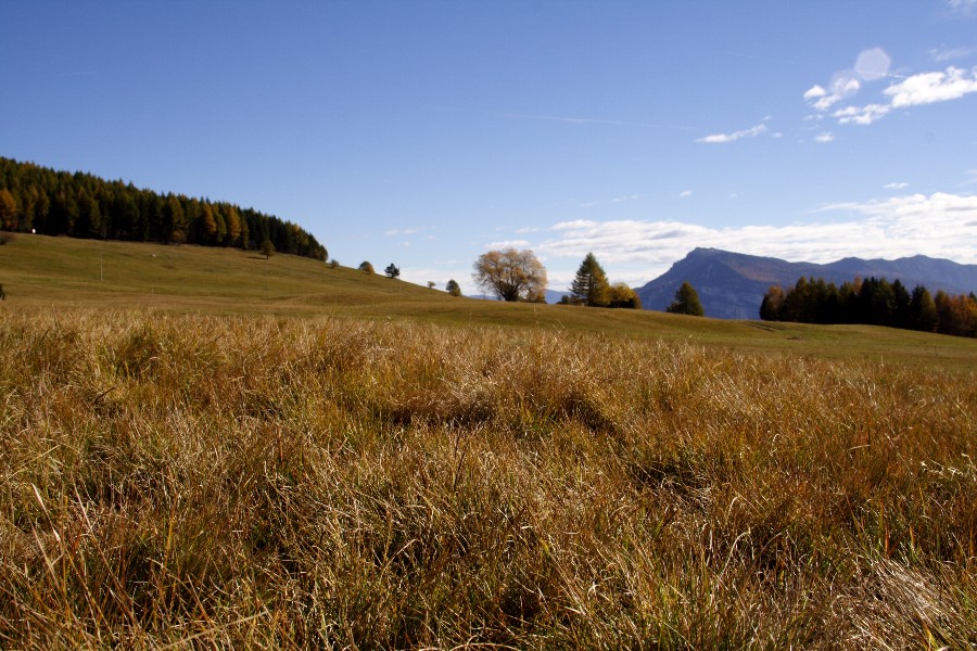 autunno trentino