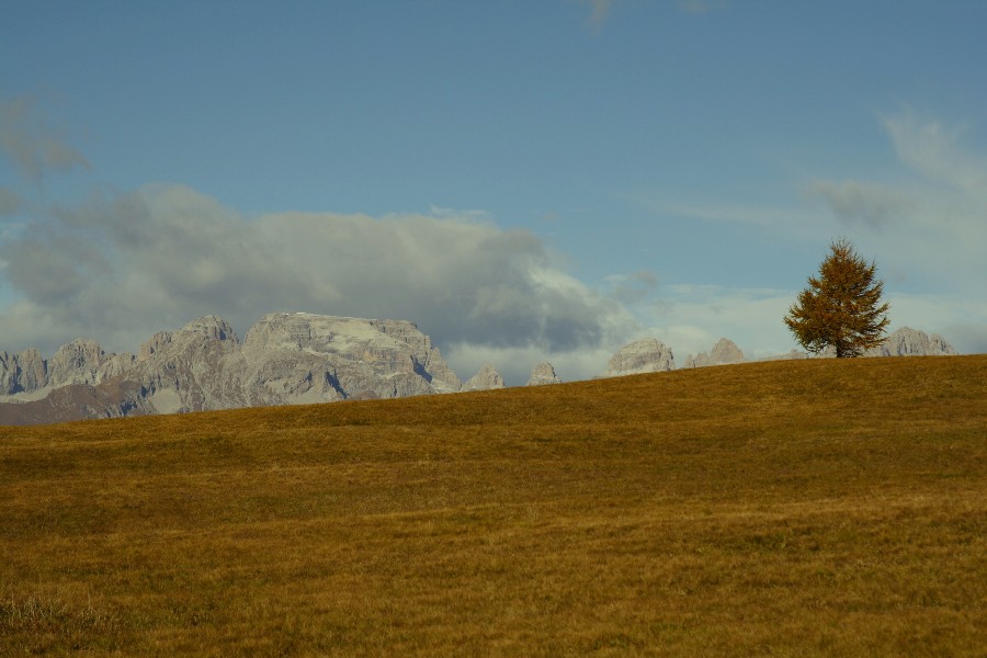 gruppo del brenta
