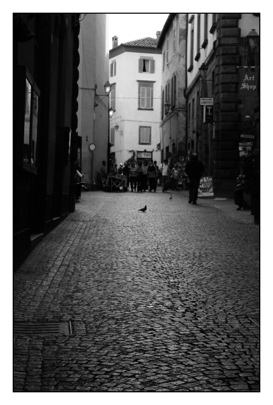 PICCIONI NELLA URBS VETUS