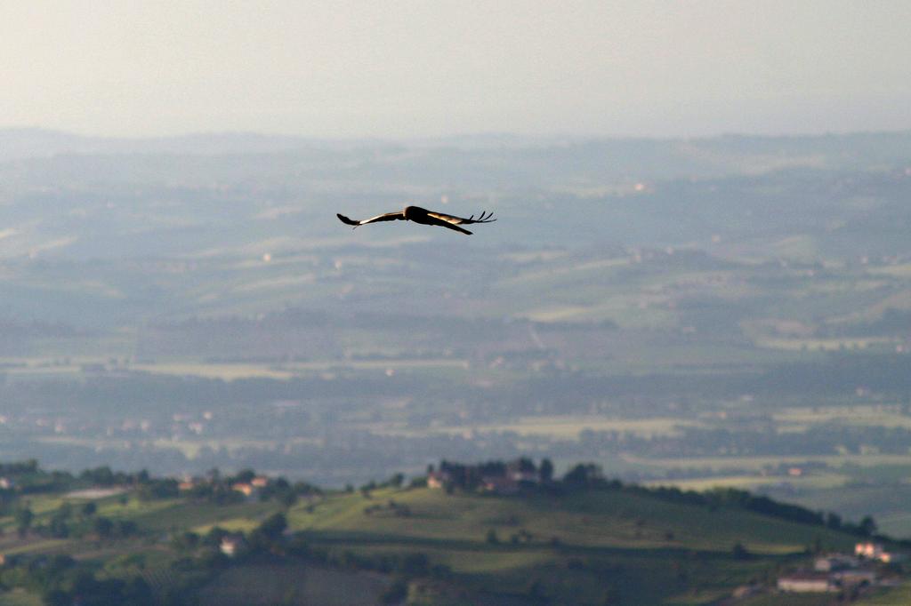 albanella