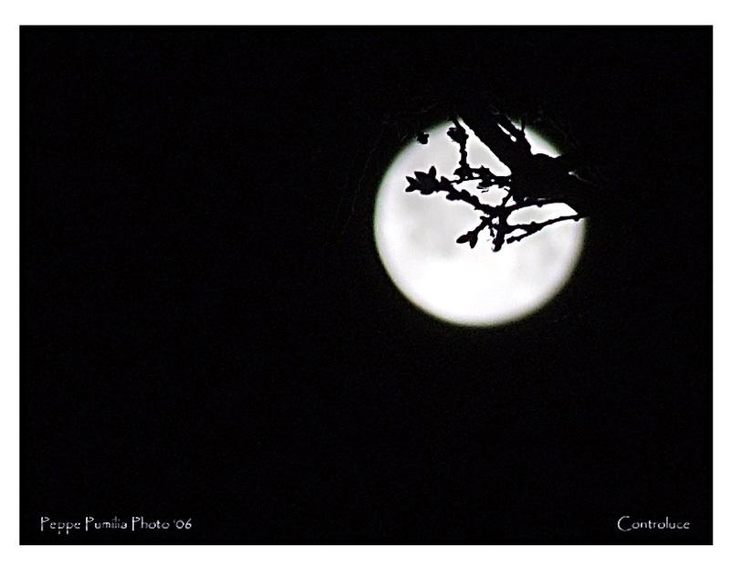 Controluce