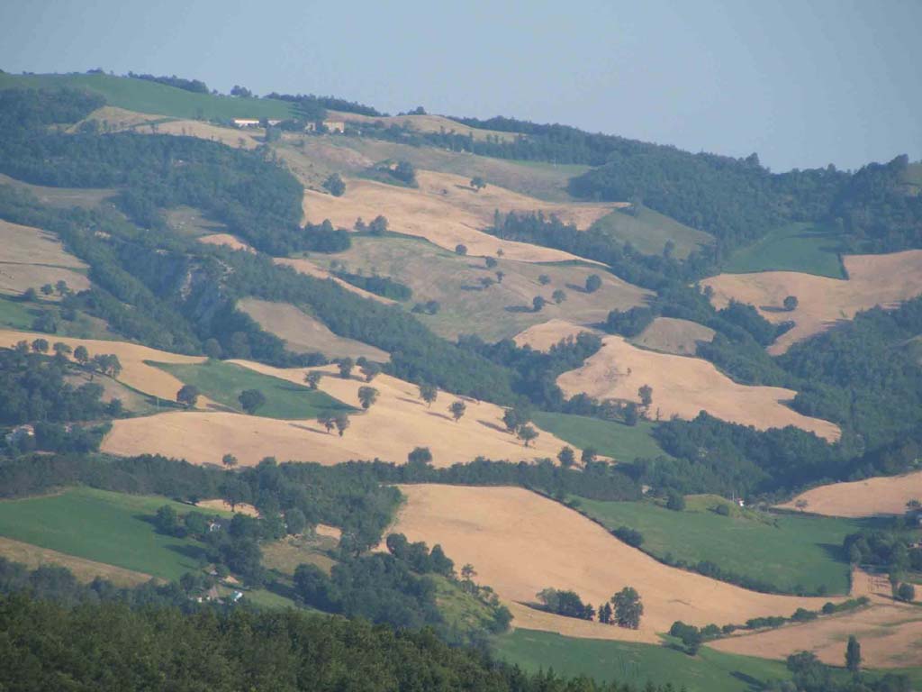 Macchie di colori