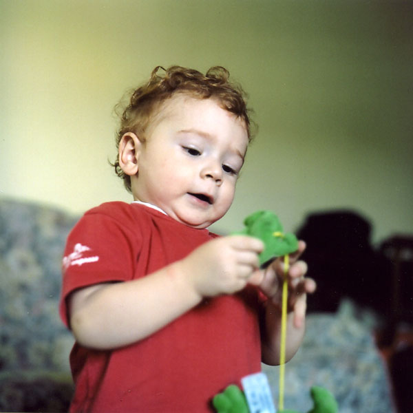 giulio