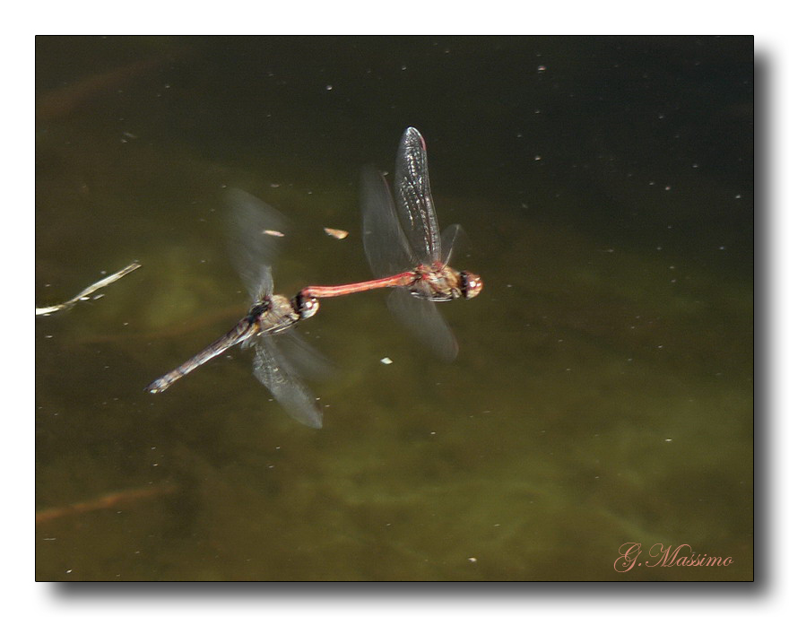Agganciate in volo