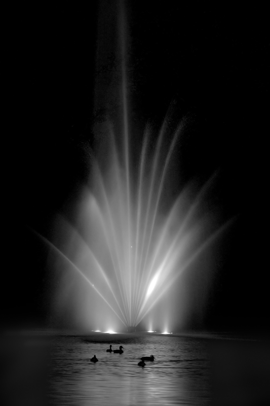 015