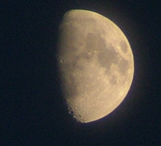 lunacrop