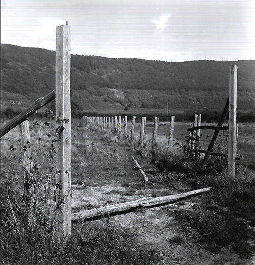 Legno 1
