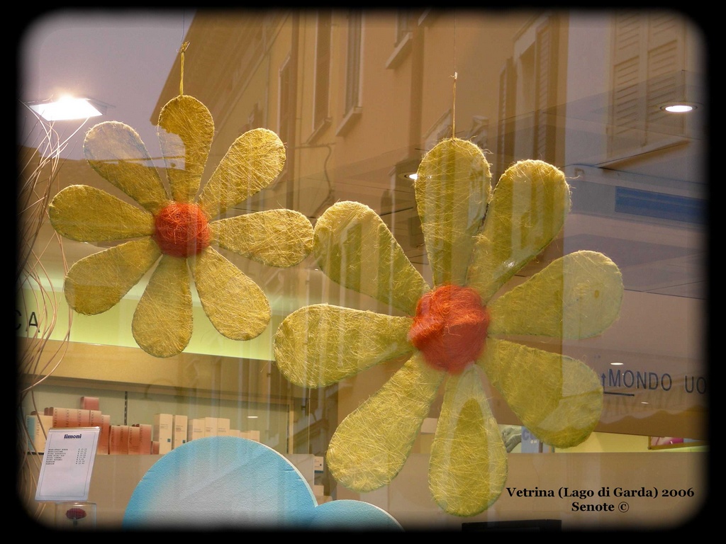 Vetrina Garda 2006