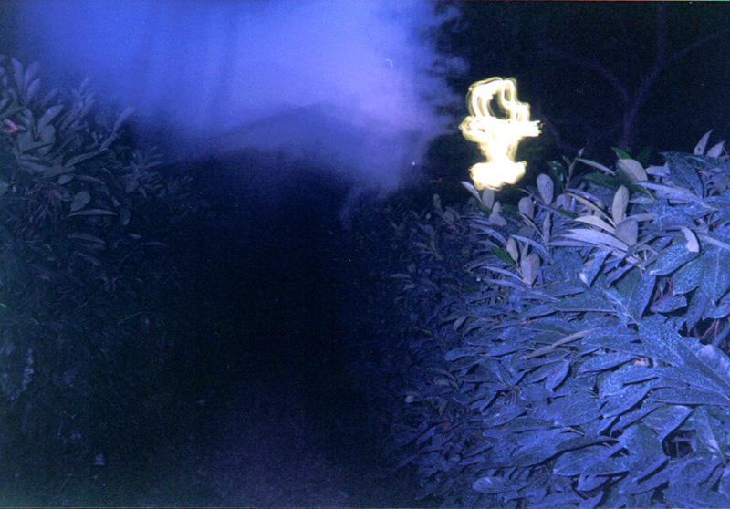 LOMO - VIALE VIOLA