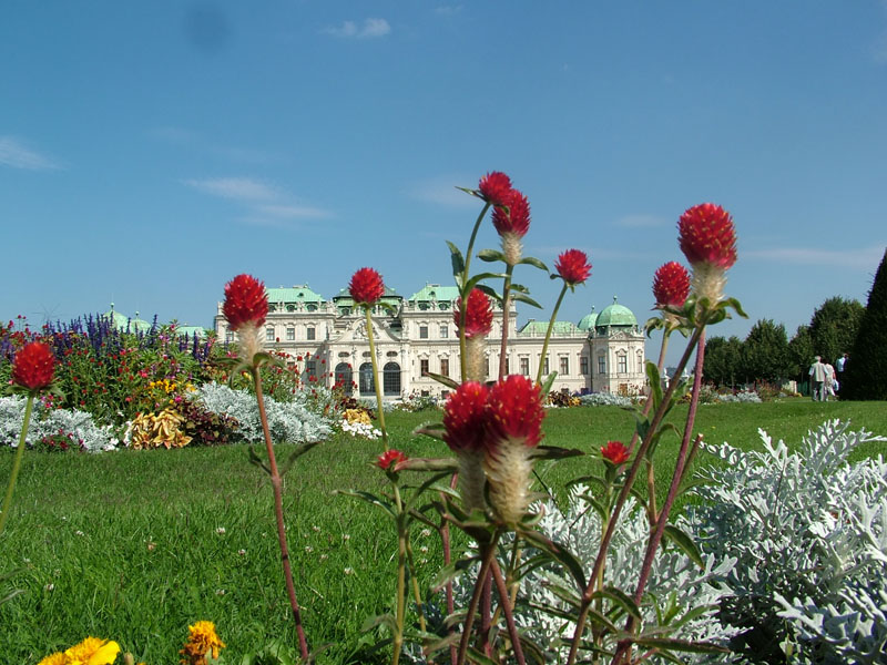 vienna bel vedere