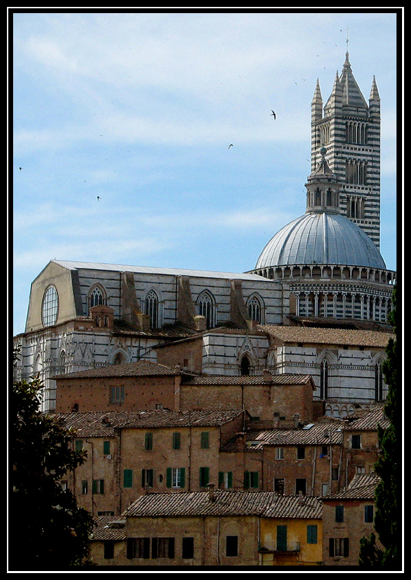 Duomo di Siena