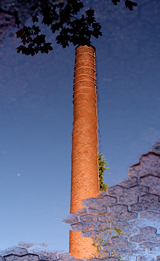 riflessi