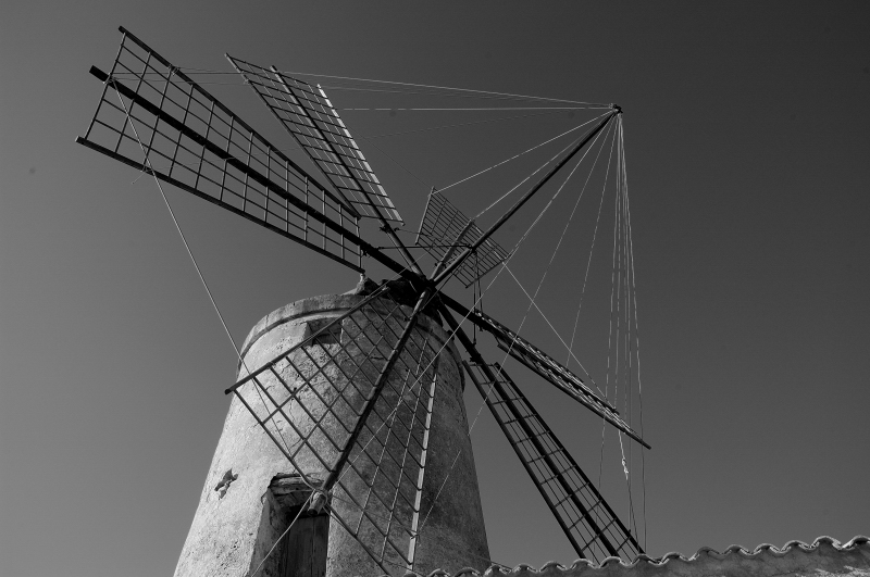 Verso il cielo