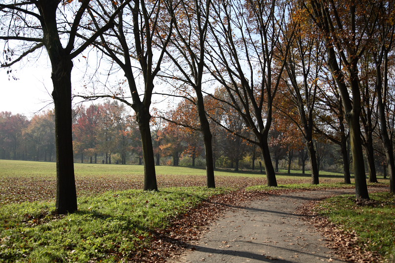 Parco