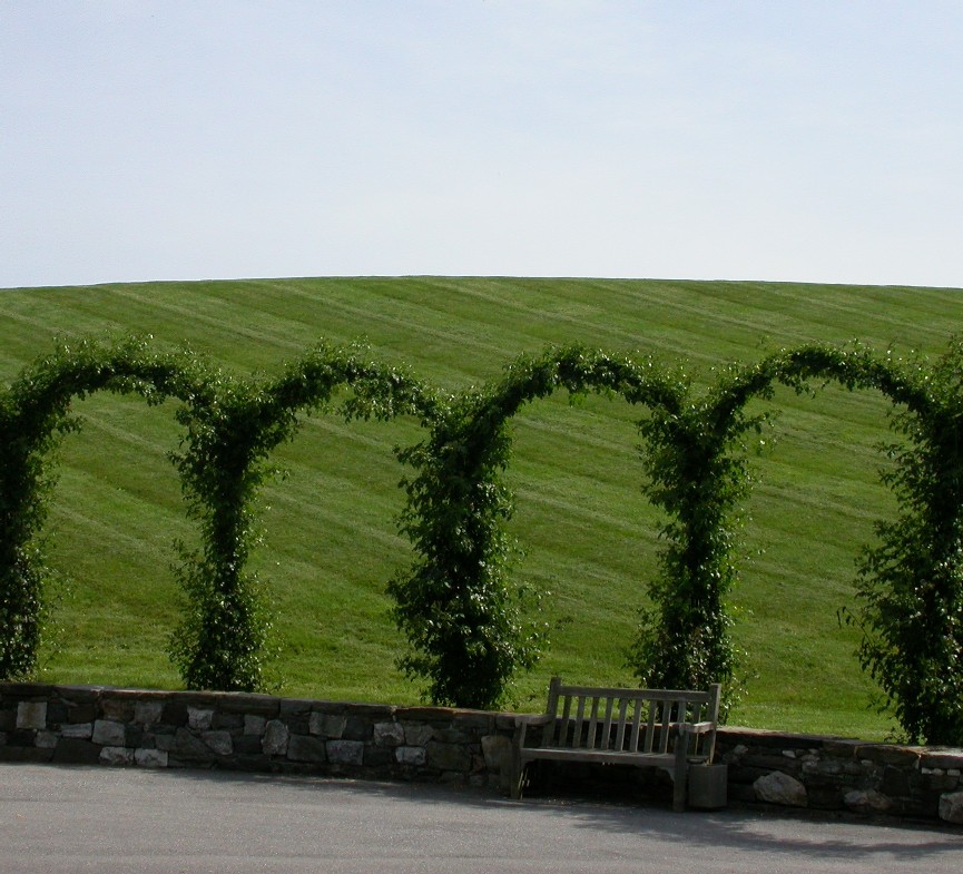 giardino con forme