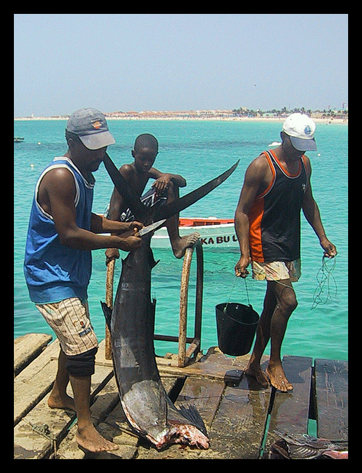 Il pescatore