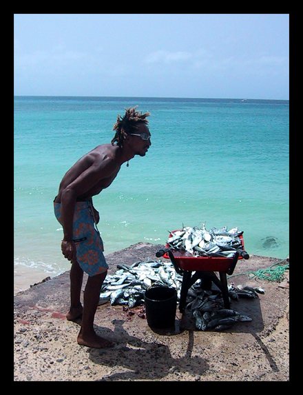 Dopo la pesca