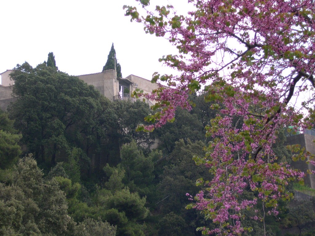 Costiera Amalfitana