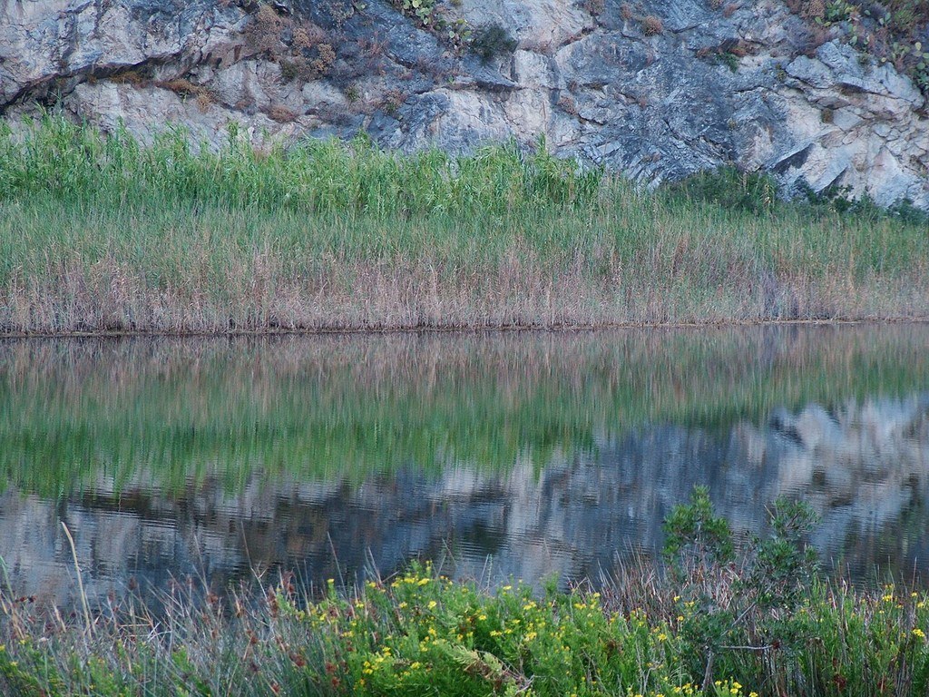 Riflessi di natura