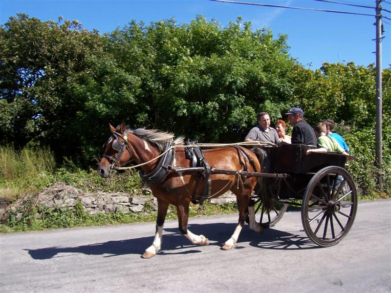Carretto Aran