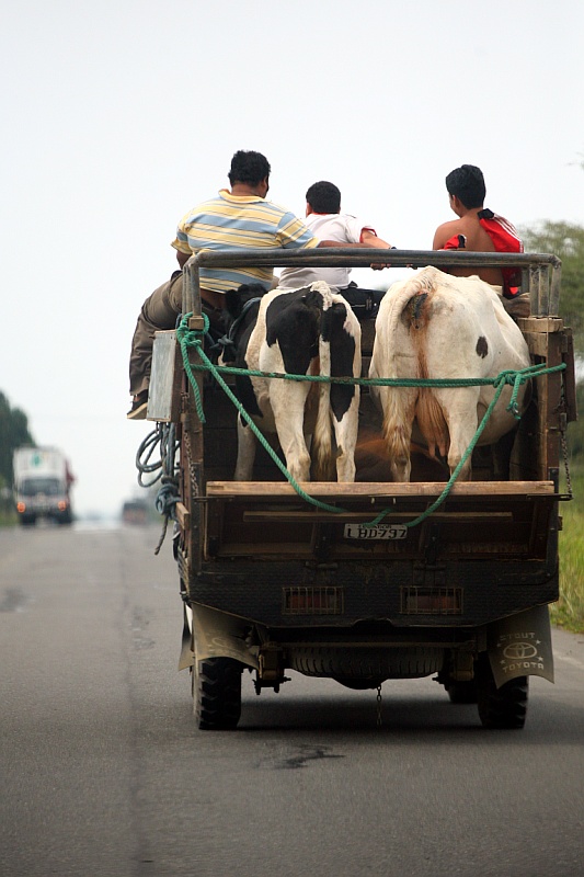 Transporte rural 3