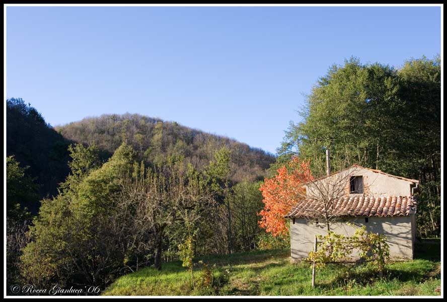 Paesaggio Autunnale