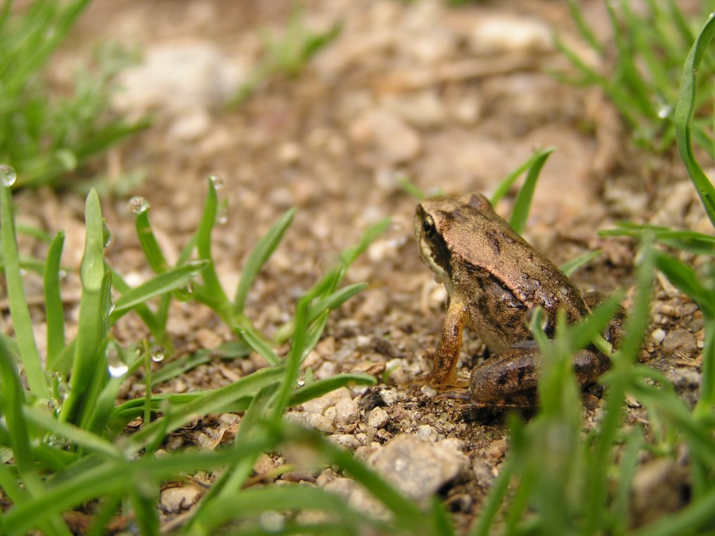 LA PICCOLA AMICA!