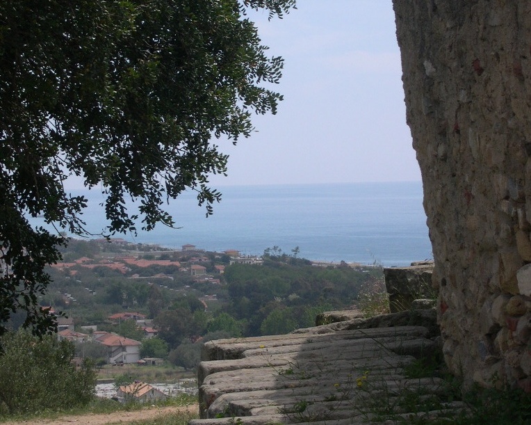 Velia