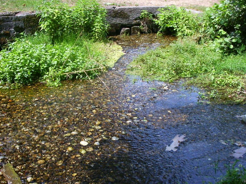 Tratto di un fiume - 001