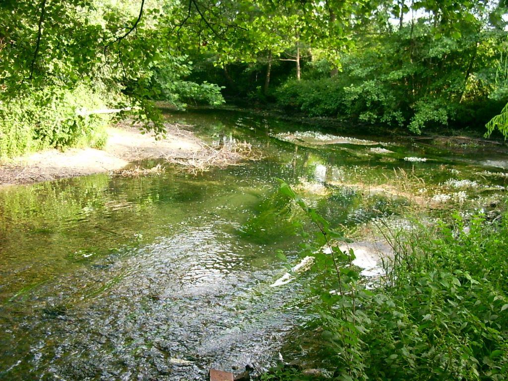 Tratto di un fiume - 004