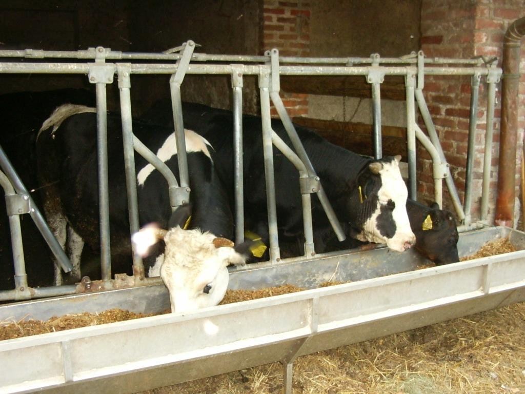 In cascina - 002
